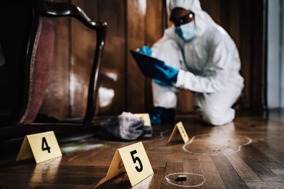 Hero Image How to Become a Homicide Detective: Career Guide